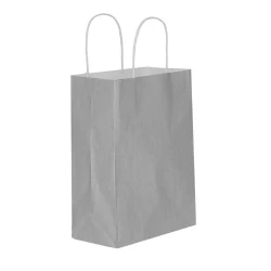Gümüş Kağıt Hediye ve Alışveriş Çantası (18x8x24) 25 Adet