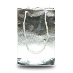 Metalize Gümüş Renkli Karton Hediye Çantası 11x16.5 cm 25 Adet